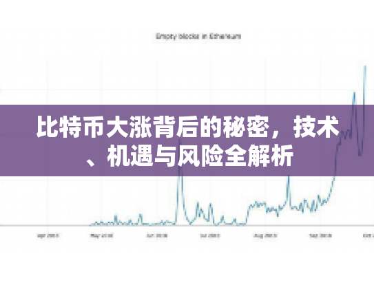 比特币大涨背后的秘密，技术、机遇与风险全解析