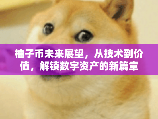 柚子币未来展望,从技术到价值,解锁数字资产的新篇章 柚子币未来展望,从技术到价值,解锁数字资产的新篇章
