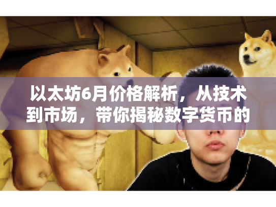 以太坊6月价格解析，从技术到市场，带你揭秘数字货币的潜在机遇与风险