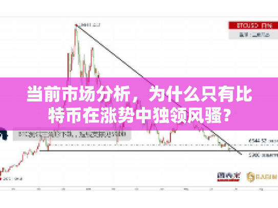当前市场分析，为什么只有比特币在涨势中独领风骚？