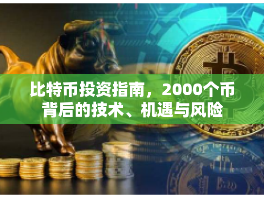比特币投资指南,2000个币背后的技术、机遇与风险 比特币投资指南,2000个币背后的技术、机遇与风险