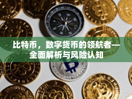 比特币，数字货币的领航者—全面解析与风险认知