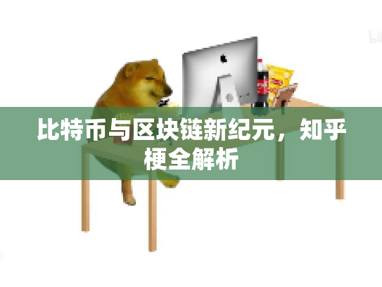 比特币与区块链新纪元，知乎梗全解析