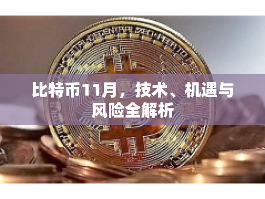 比特币11月，技术、机遇与风险全解析