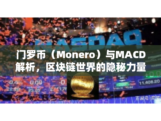 门罗币（Monero）与MACD解析，区块链世界的隐秘力量与投资策略