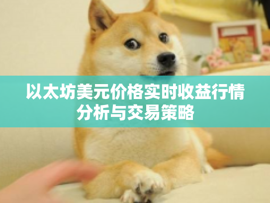 以太坊美元价格实时收益行情分析与交易策略