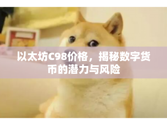 以太坊C98价格,揭秘数字货币的潜力与风险 以太坊C98价格,揭秘数字货币的潜力与风险