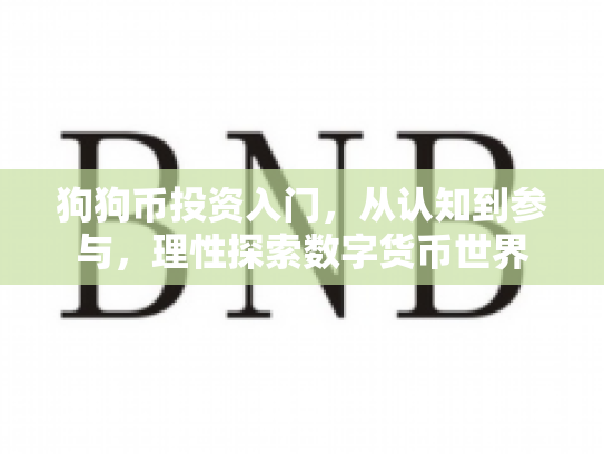 狗狗币投资入门，从认知到参与，理性探索数字货币世界