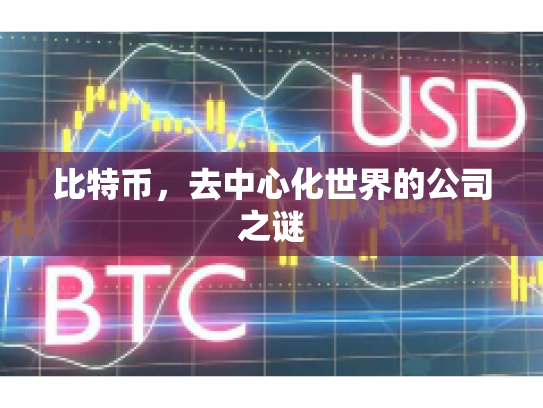 比特币，去中心化世界的公司之谜