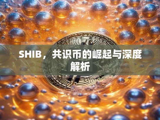 SHIB，共识币的崛起与深度解析