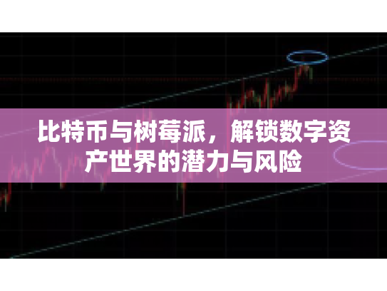 比特币与树莓派，解锁数字资产世界的潜力与风险