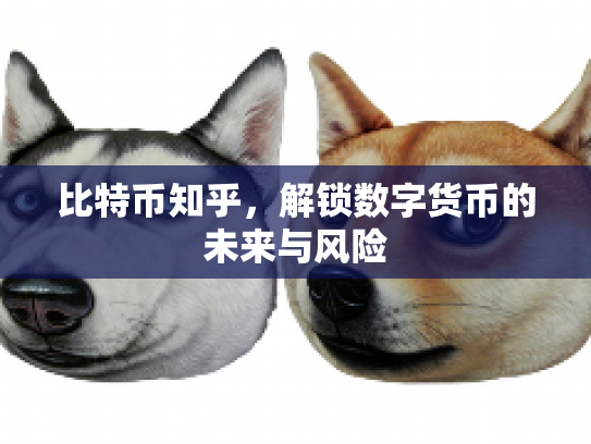 比特币知乎,解锁数字货币的未来与风险 比特币知乎,解锁数字货币的未来与风险