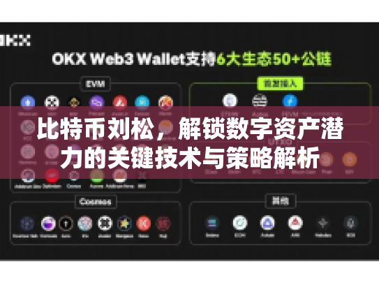 比特币刘松,解锁数字资产潜力的关键技术与策略解析 比特币刘松,解锁数字资产潜力的关键技术与策略解析