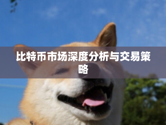 比特币市场深度分析与交易策略