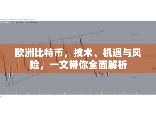 欧洲比特币，技术、机遇与风险，一文带你全面解析