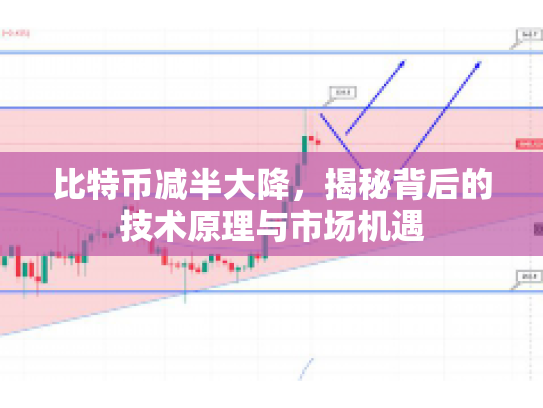 比特币减半大降，揭秘背后的技术原理与市场机遇