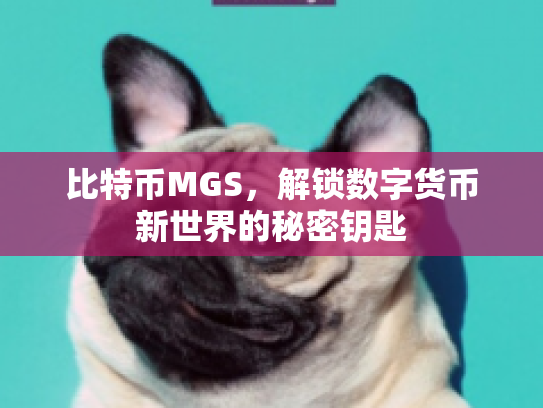 比特币MGS，解锁数字货币新世界的秘密钥匙