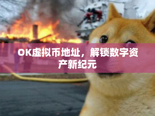 OK虚拟币地址，解锁数字资产新纪元