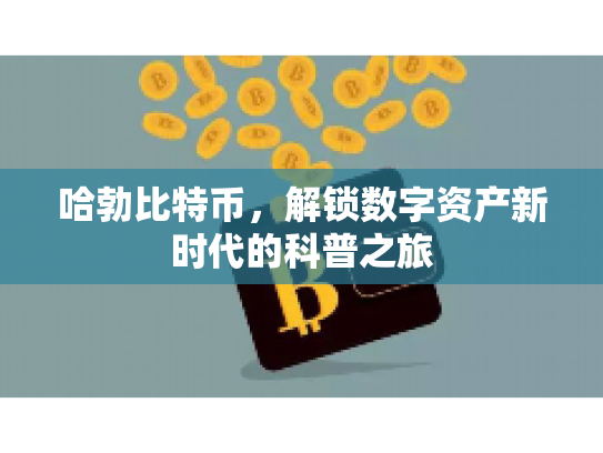 哈勃比特币，解锁数字资产新时代的科普之旅
