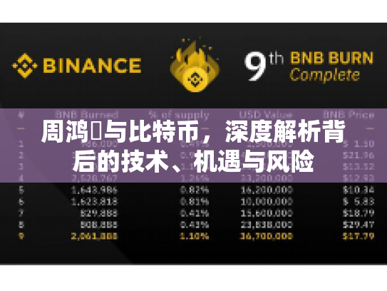 周鸿祎与比特币，深度解析背后的技术、机遇与风险