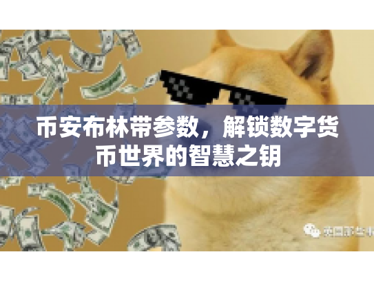 币安布林带参数，解锁数字货币世界的智慧之钥