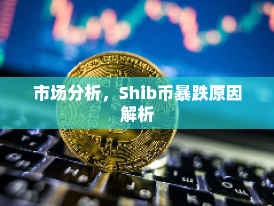 市场分析,Shib币暴跌原因解析 市场分析,Shib币暴跌原因解析