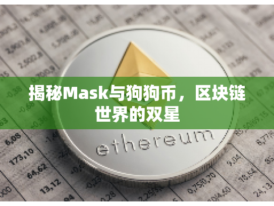 揭秘Mask与狗狗币,区块链世界的双星 揭秘Mask与狗狗币,区块链世界的双星