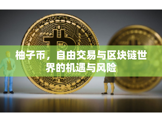 柚子币,自由交易与区块链世界的机遇与风险 柚子币,自由交易与区块链世界的机遇与风险