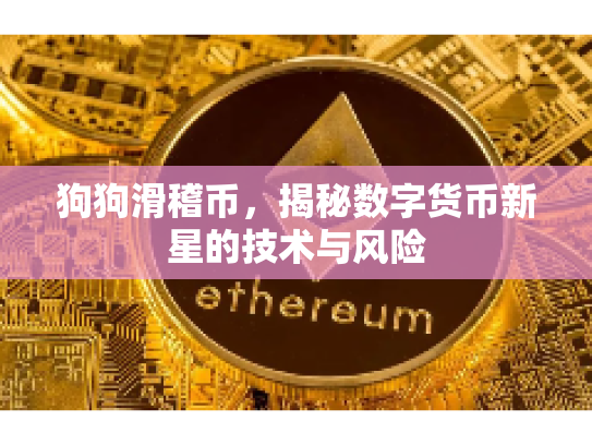 狗狗滑稽币,揭秘数字货币新星的技术与风险 狗狗滑稽币,揭秘数字货币新星的技术与风险