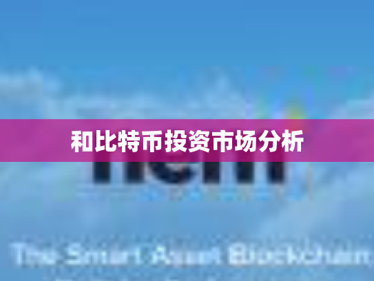 和比特币投资市场分析 和比特币投资市场分析