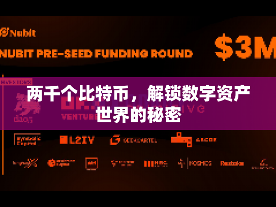 两千个比特币，解锁数字资产世界的秘密