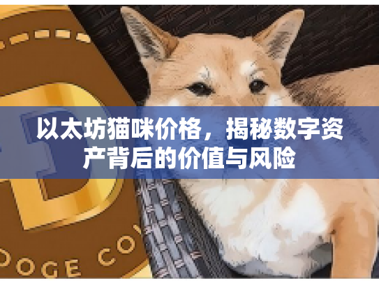 以太坊猫咪价格，揭秘数字资产背后的价值与风险