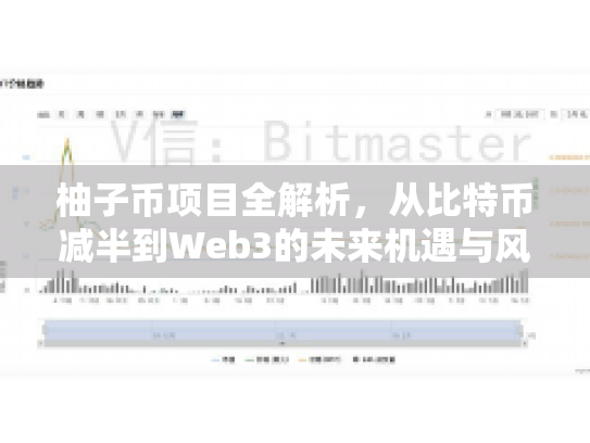 柚子币项目全解析,从比特币减半到Web3的未来机遇与风险 柚子币项目全解析,从比特币减半到Web3的未来机遇与风险