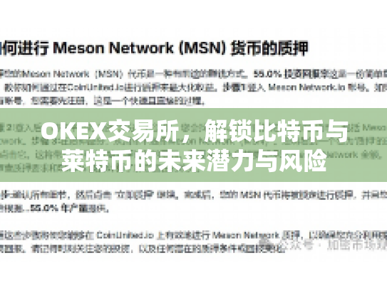 OKEX交易所,解锁比特币与莱特币的未来潜力与风险 OKEX交易所,解锁比特币与莱特币的未来潜力与风险