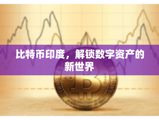 比特币印度，解锁数字资产的新世界