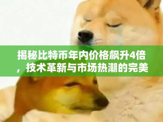 揭秘比特币年内价格飙升4倍,技术革新与市场热潮的完美融合 揭秘比特币年内价格飙升4倍,技术革新与市场热潮的完美融合