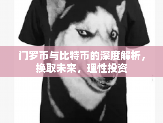 门罗币与比特币的深度解析，换取未来，理性投资