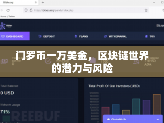 门罗币一万美金，区块链世界的潜力与风险