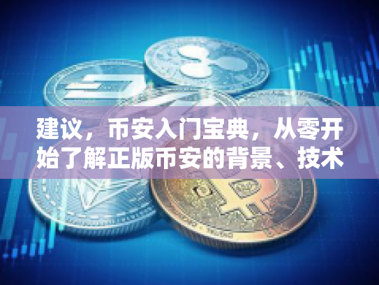 建议，币安入门宝典，从零开始了解正版币安的背景、技术与应用