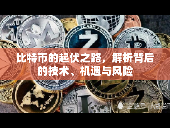 比特币的起伏之路,解析背后的技术、机遇与风险 比特币的起伏之路,解析背后的技术、机遇与风险
