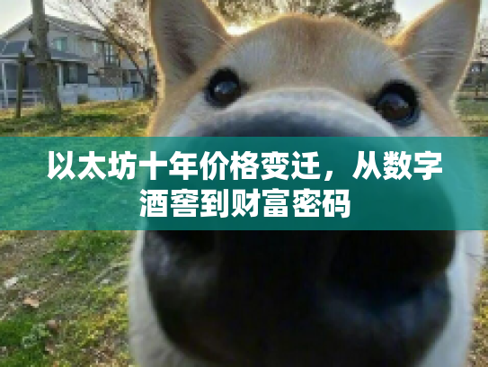 以太坊十年价格变迁,从数字酒窖到财富密码 以太坊十年价格变迁,从数字酒窖到财富密码