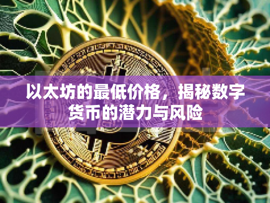 以太坊的最低价格,揭秘数字货币的潜力与风险 以太坊的最低价格,揭秘数字货币的潜力与风险