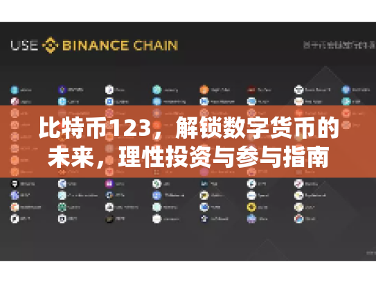 比特币123，解锁数字货币的未来，理性投资与参与指南