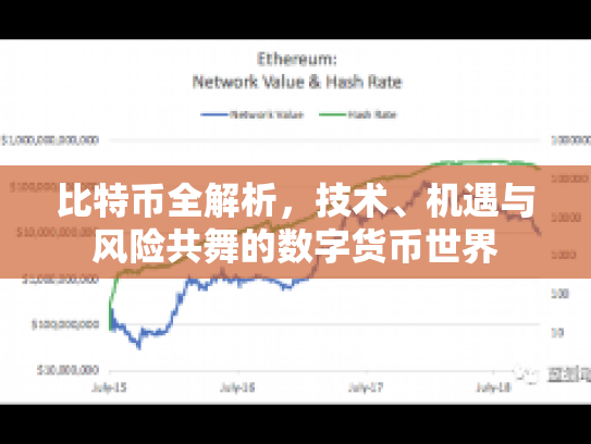 比特币全解析,技术、机遇与风险共舞的数字货币世界 比特币全解析,技术、机遇与风险共舞的数字货币世界