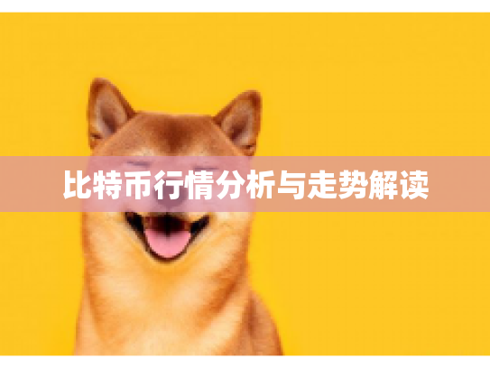 比特币行情分析与走势解读 比特币行情分析与走势解读