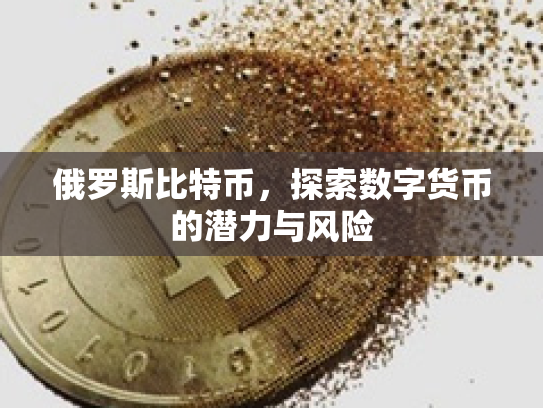 俄罗斯比特币,探索数字货币的潜力与风险 俄罗斯比特币,探索数字货币的潜力与风险