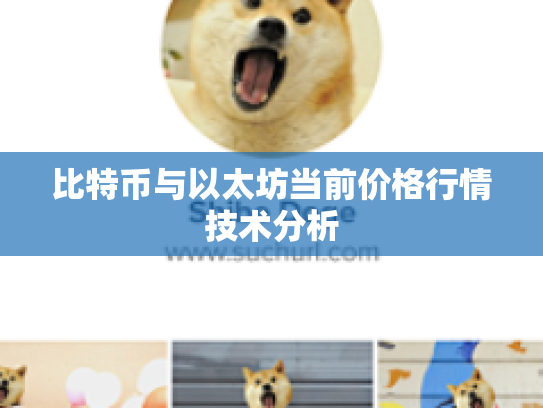 比特币与以太坊当前价格行情技术分析
