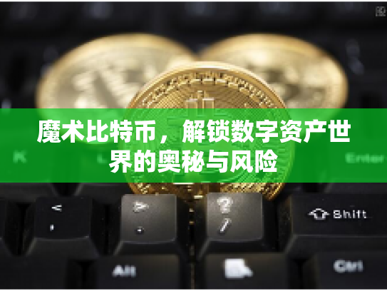 魔术比特币，解锁数字资产世界的奥秘与风险
