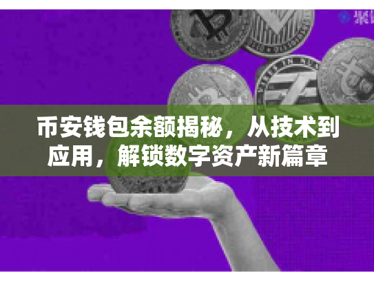 币安钱包余额揭秘,从技术到应用,解锁数字资产新篇章 币安钱包余额揭秘,从技术到应用,解锁数字资产新篇章