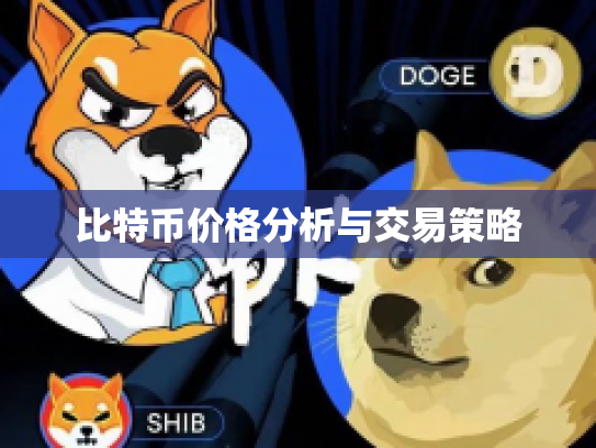 比特币价格分析与交易策略